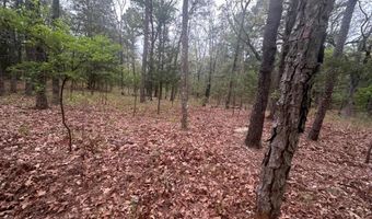 UNIT # 263B KIAMICHI WILDERNESS RD Unit # 63 63, Antlers, OK 74523
