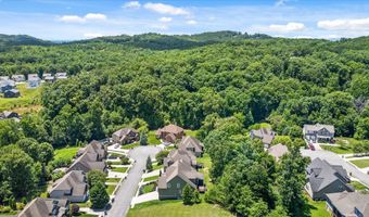 4217 Cripple Bush Ct, Apison, TN 37302