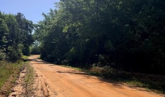 26 27 County Road 97, Abbeville, AL 36310