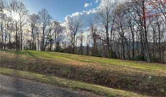 Tbd IKE SLATE LANE, Ararat, VA 24053