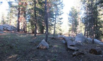 175 Silver Tip Dr, Bear Valley, CA 95223