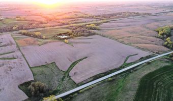 Vine Avenue, Ainsworth, IA 52201