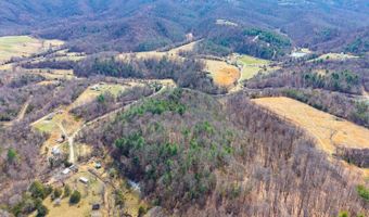 Puppy Creek, Amherst, VA 24521