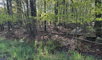 Lot K204 Knollwood Dr Drive, Tobyhanna, PA 18466