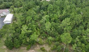 Ashley Circle, Alford, FL 32420