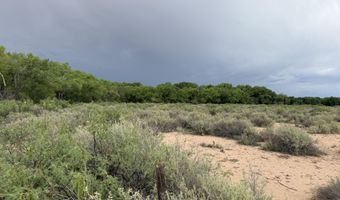 Winery Road, Bosque, NM 87006