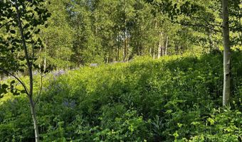2601 Midnight Mine Road Rd, Aspen, CO 81611