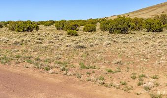Co Rd 5106 Lot # 2 1.1 Acres, Concho, AZ 85924