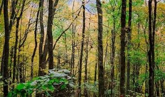 Tynecastle Drive lot 35, Banner Elk, NC 28604