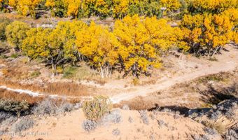 Lot 99 ROAD 3627, Aztec, NM 87410