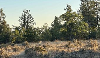 Nka Jensen Quarry Rd, Bickleton, WA 98620