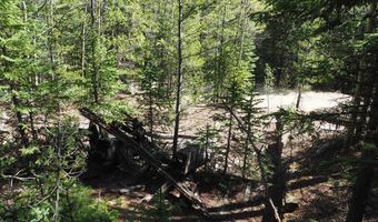 0 Gamble Gulch, Black Hawk, CO 80422