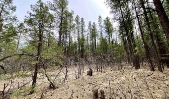 99 Big Notch Forest Trl, Bluewater, NM 87005