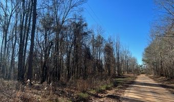 Creek Road, Ashland, AL 36251