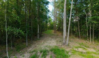 Trickhambridge Road lot 7, Brandon, MS 39042