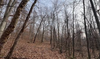 1383 HogBack Rd, Albany, KY 42602