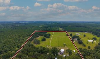 2889 67th Ct, Bell, FL 32619