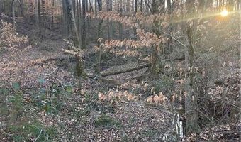 0 Hwy 51S, Homer, GA 30547