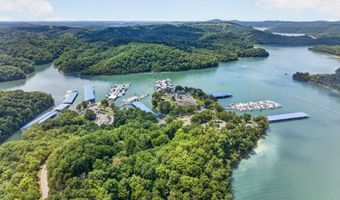 802 Livingston Boat Dock Rd, Allons, TN 38541