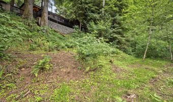 10251 Ridgview Ter, Birkenfeld, OR 97016