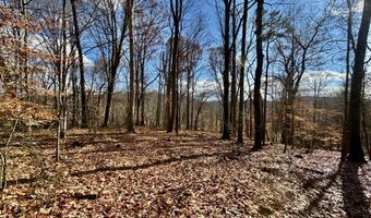 1520 Brittontown Rd, Afton, TN 37616