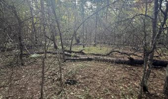 Michael Drive, Alger, MI 48610