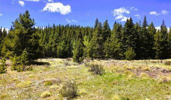 PCS # 10594 Looney Lane lot 0, Alma, CO 80420