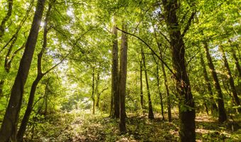 235 Woodrow Martin Rd, Brandon, MS 39042