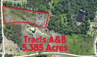 150 Kyle Stains Rd, Baxley, GA 31513