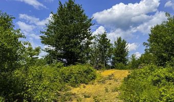 Lynburke Road lot 1 & Lot 2, Burke, VT 05871