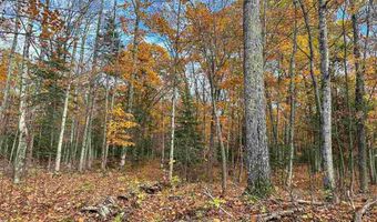 Greene's Bay Parcel 17B, Beaver Island, MI 49782