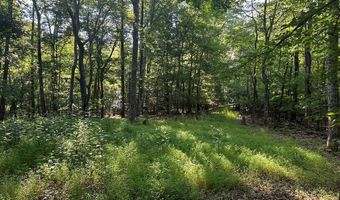 Lot 2B Gidsville Road, Amherst, VA 24521