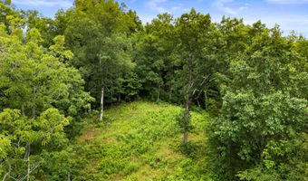 1556 Hollow Springs Rd, Baneberry, TN 37890