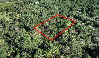 2622 W DAWSON Rd, Avon Park, FL 33825