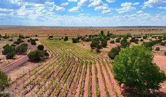 14 COUNTY ROAD 5309, Concho, AZ 85924