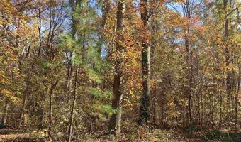 SPRINGHOLLOW ROAD lot 11, Ashville, AL 35953