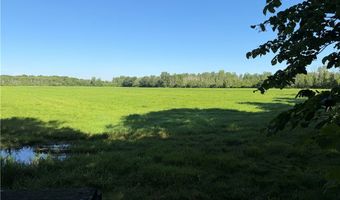 W Barre Road, Albion, NY 14411