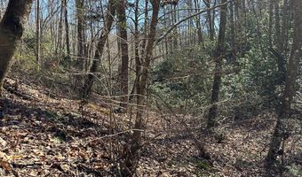 Lot 7 Valley View Heights Lane, Andrews, NC 28901