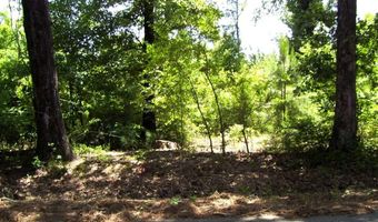 1131 LR 35, Ashdown, AR 71822