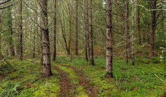 Upper Cow Creek Road, Azalea, OR 97410