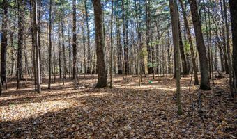 Lot 33 S Badger Lane, Arkdale, WI 54613