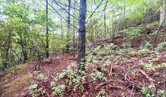 520 Calvin Cove Rd, Almond, NC 28702