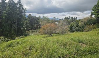 64-635 KOLOHALA Pl Lot #: 81, Kamuela, HI 96743