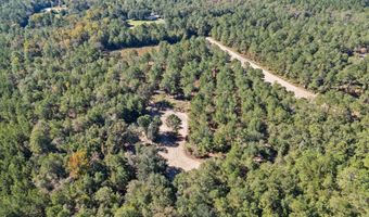 7901 Ashleigh Rd, Blackville, SC 29817