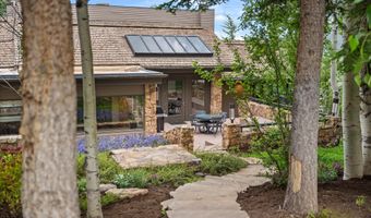 730 S Galena St, Aspen, CO 81611