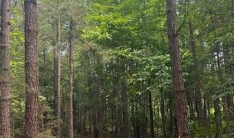 Piney Mountain Rd, Appomattox, VA 24522
