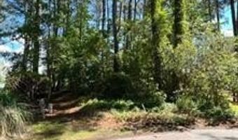 11043 PINEY ISLAND Dr, Bishopville, MD 21813