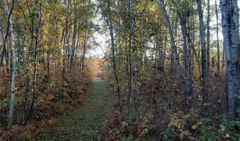 31538 County 23, Akeley, MN 56433