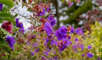 461 Saint Andrews Dr, Aptos, CA 95003
