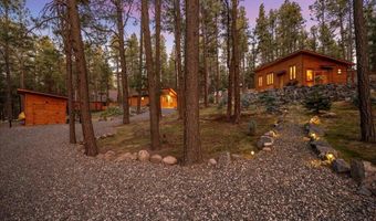 24 County Rd 2267, Alpine, AZ 85920
